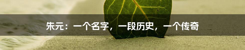 朱元：一个名字，一段历史，一个传奇