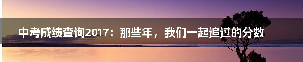 中考成绩查询2017:那些年,我们一起追过的分数
