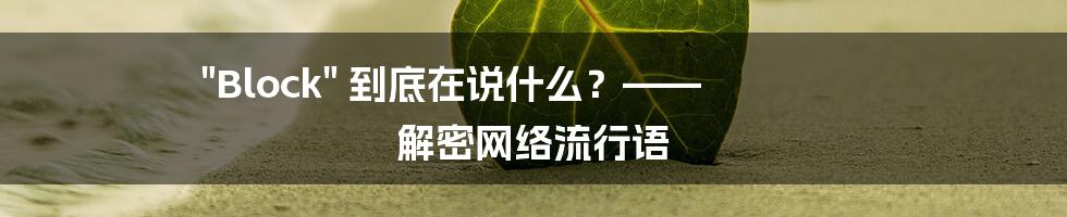 "Block" 到底在说什么？—— 解密网络流行语