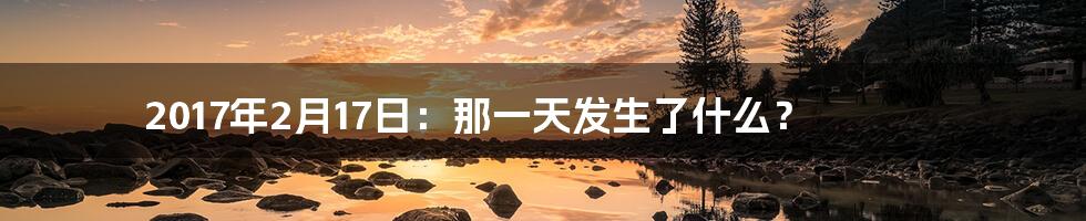 2017年2月17日:那一天发生了什么?