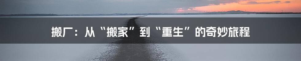 搬厂:从“搬家”到“重生”的奇妙旅程