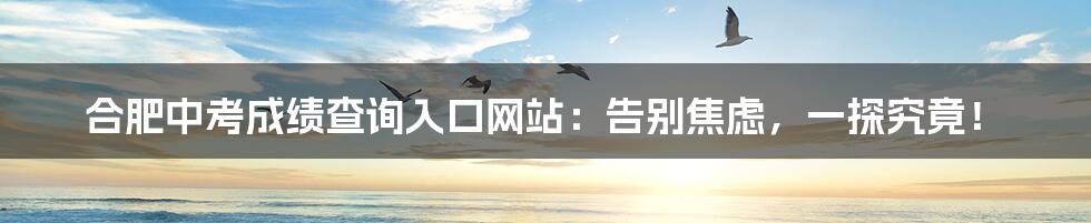合肥中考成绩查询入口网站:告别焦虑,一探究竟!