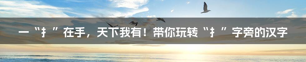 一“扌”在手,天下我有!带你玩转“扌”字旁的汉字