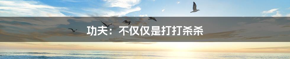 功夫：不仅仅是打打杀杀