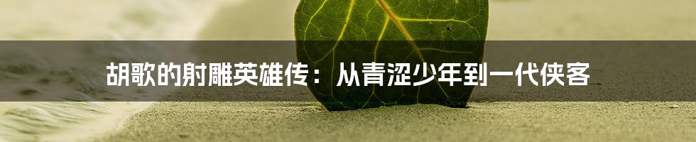 胡歌的射雕英雄传:从青涩少年到一代侠客