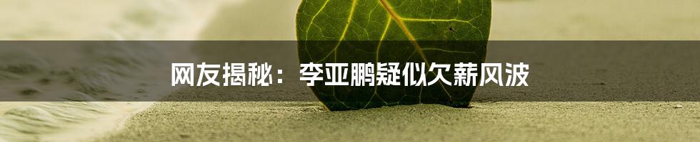 网友揭秘:李亚鹏疑似欠薪风波