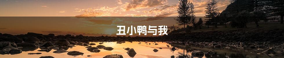 丑小鸭与我