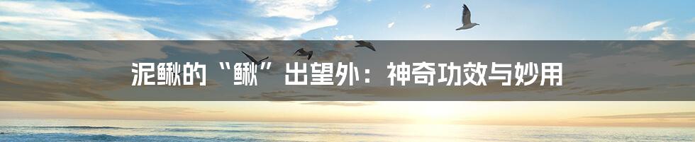 泥鳅的“鳅”出望外：神奇功效与妙用