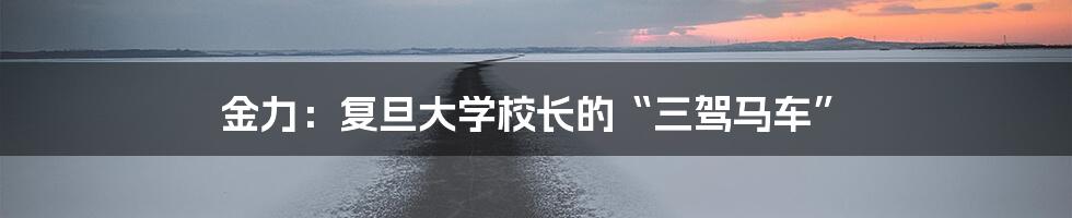 金力:复旦大学校长的“三驾马车”