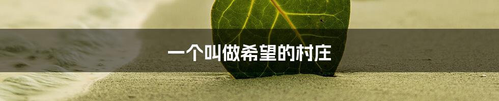 一个叫做希望的村庄