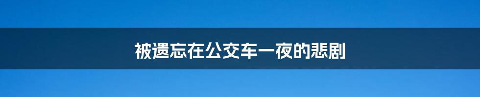 被遗忘在公交车一夜的悲剧