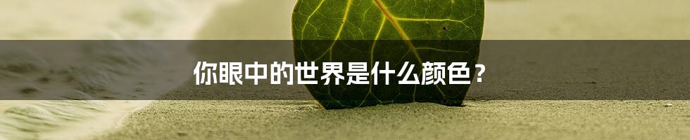 你眼中的世界是什么颜色?
