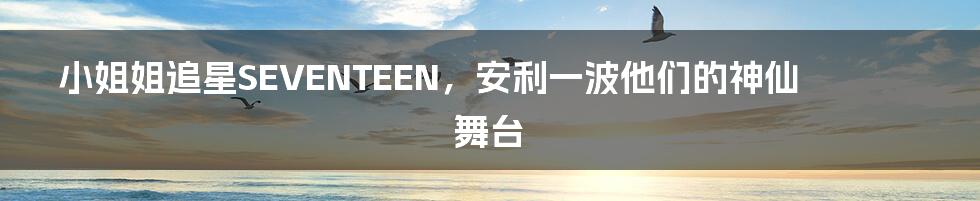 小姐姐追星SEVENTEEN,安利一波他们的神仙舞台