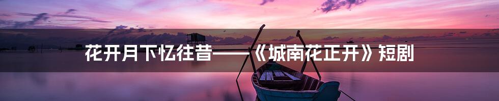 花开月下忆往昔——《城南花正开》短剧