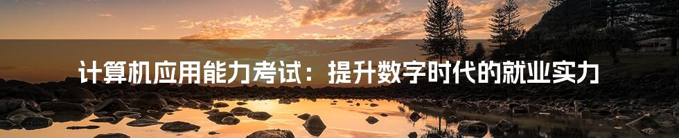 计算机应用能力考试:提升数字时代的就业实力