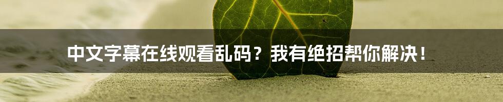 中文字幕在线观看乱码？我有绝招帮你解决！