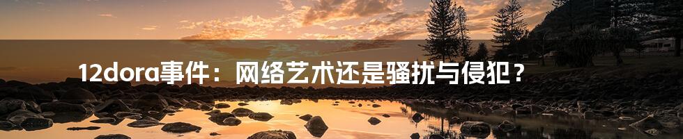 12dora事件:网络艺术还是骚扰与侵犯?