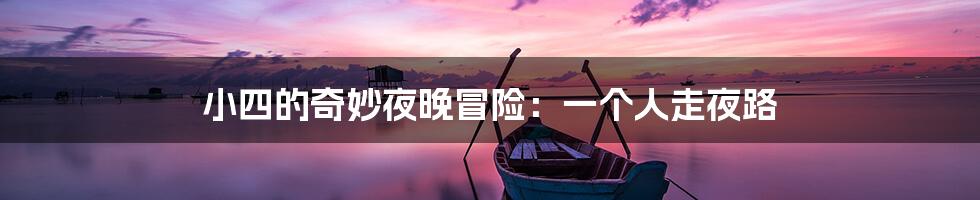 小四的奇妙夜晚冒险:一个人走夜路