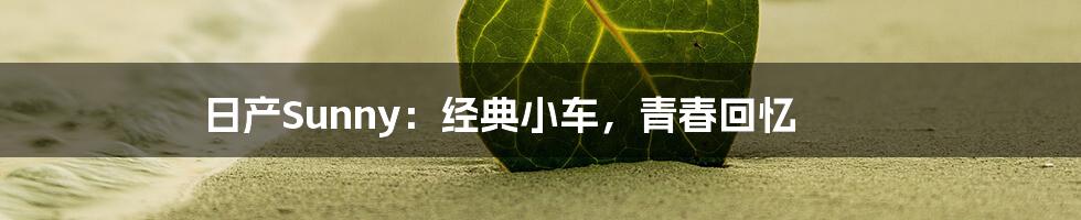 日产Sunny:经典小车,青春回忆