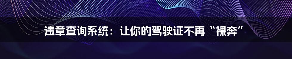 违章查询系统:让你的驾驶证不再“裸奔”