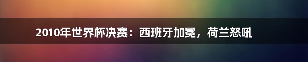 2010年世界杯决赛:西班牙加冕,荷兰怒吼