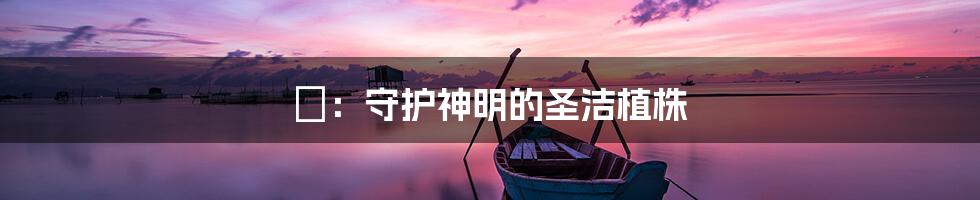 榊:守护神明的圣洁植株