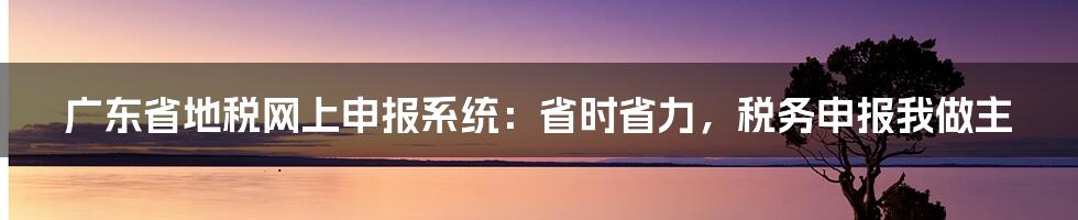 广东省地税网上申报系统:省时省力,税务申报我做主