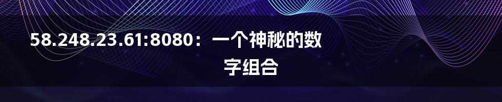 58.248.23.61:8080：一个神秘的数字组合