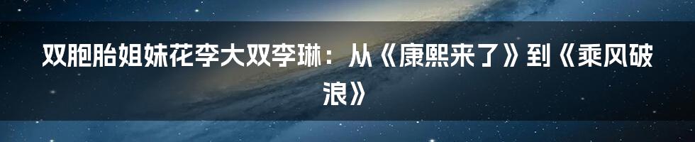 双胞胎姐妹花李大双李琳：从《康熙来了》到《乘风破浪》