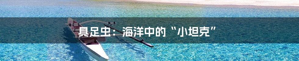 具足虫:海洋中的“小坦克”