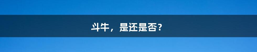 斗牛,是还是否?