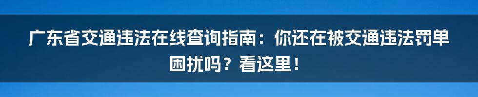 广东省交通违法在线查询指南：你还在被交通违法罚单困扰吗？看这里！
