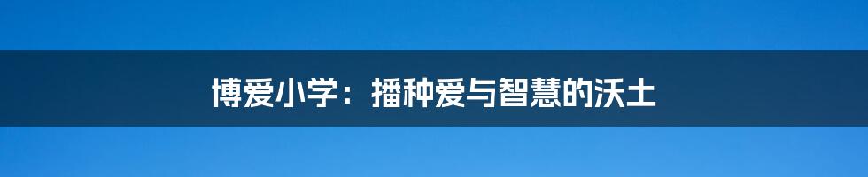 博爱小学:播种爱与智慧的沃土