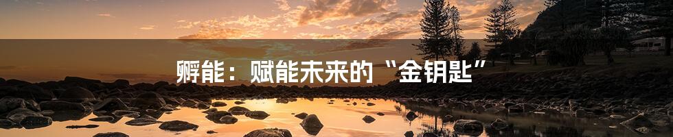 孵能:赋能未来的“金钥匙”