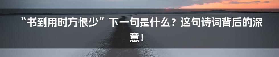 “书到用时方恨少”下一句是什么?这句诗词背后的深意!