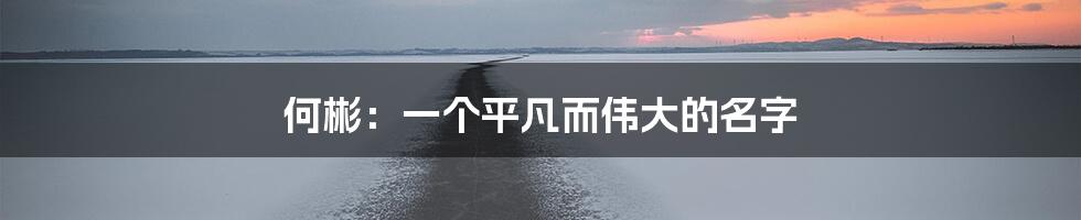 何彬:一个平凡而伟大的名字