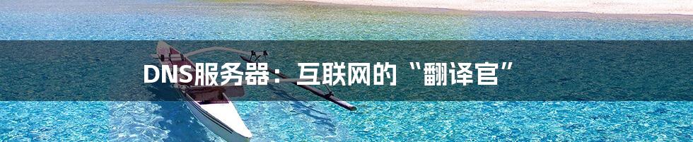 DNS服务器：互联网的“翻译官”