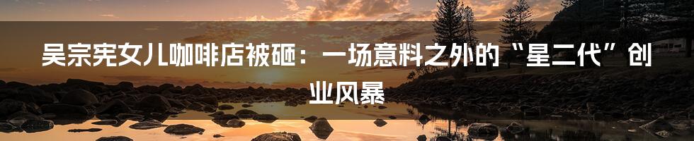 吴宗宪女儿咖啡店被砸:一场意料之外的“星二代”创业风暴