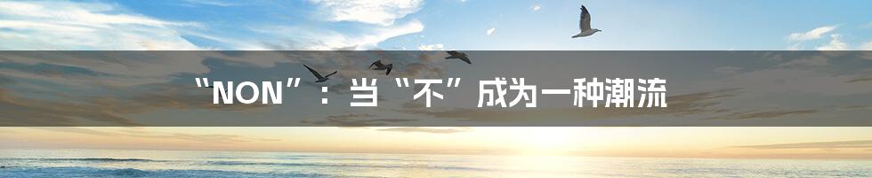 “NON”：当“不”成为一种潮流