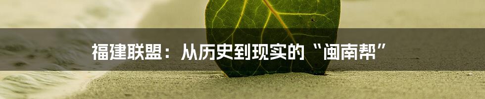 福建联盟:从历史到现实的“闽南帮”