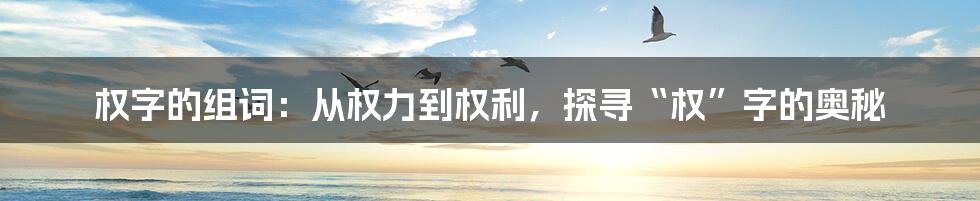 权字的组词:从权力到权利,探寻“权”字的奥秘