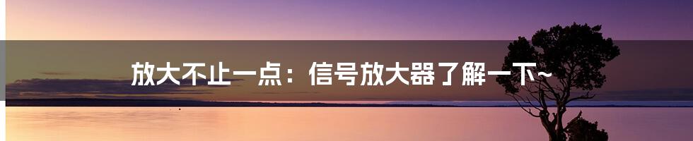 放大不止一点：信号放大器了解一下~