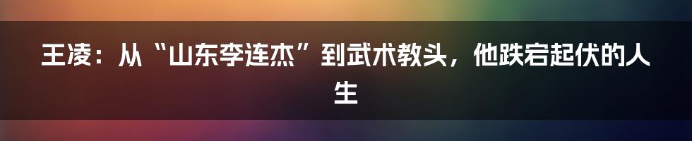 王凌:从“山东李连杰”到武术教头,他跌宕起伏的人生