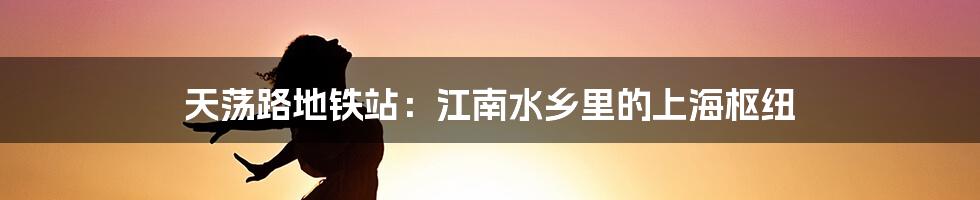 天荡路地铁站:江南水乡里的上海枢纽