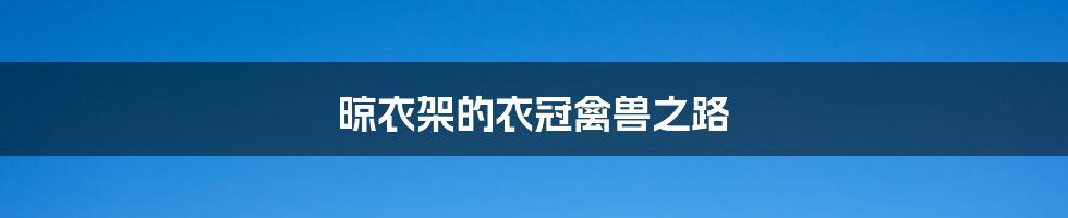 晾衣架的衣冠禽兽之路