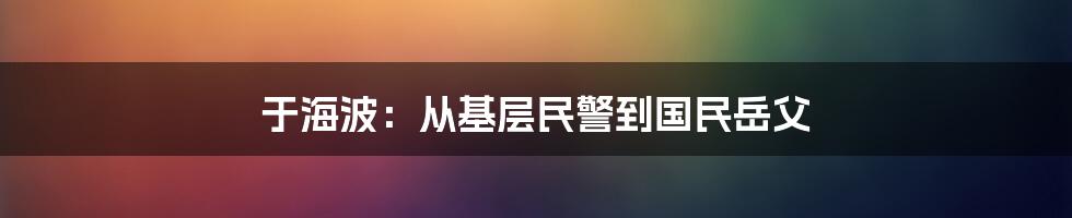 于海波:从基层民警到国民岳父