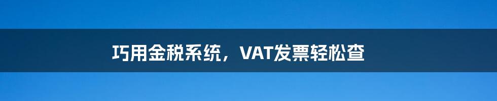 巧用金税系统，VAT发票轻松查