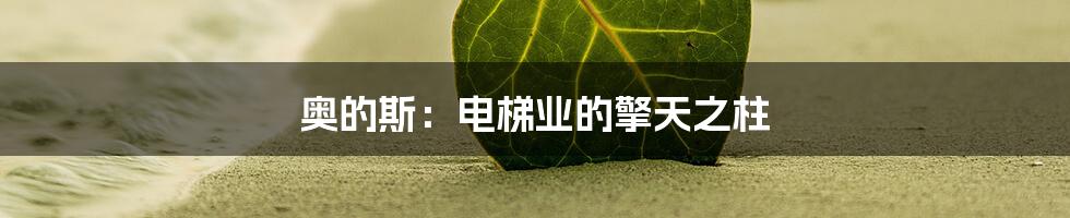 奥的斯:电梯业的擎天之柱