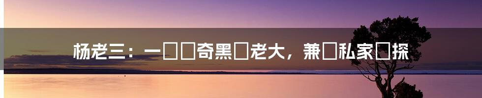 杨老三:一個傳奇黑幫老大,兼職私家偵探