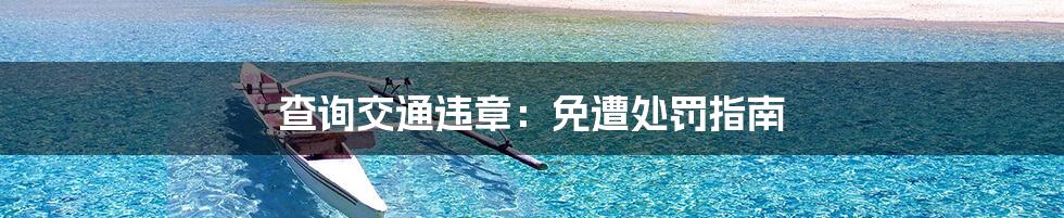 查询交通违章:免遭处罚指南